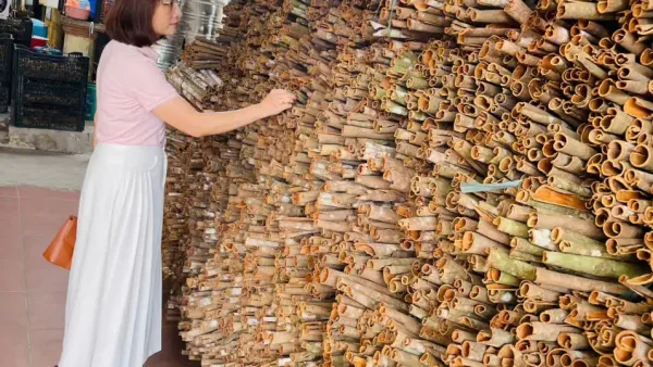 Alternative view of gia vị Quế