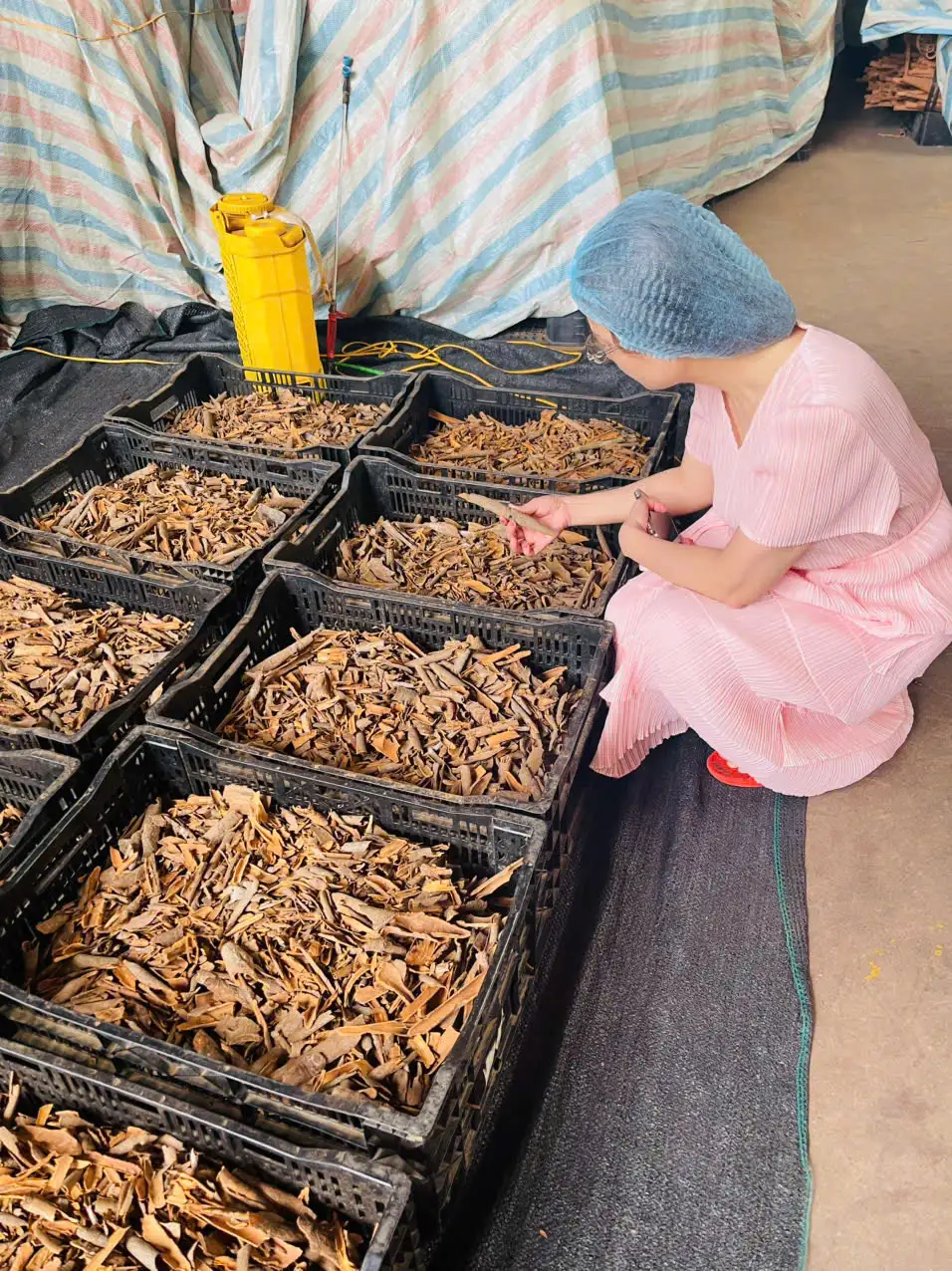 gia vị Quế - Image 4