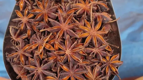 Alternative view of Hoa hồi 500g, đại hồi khô, thơm, gia vị tẩm ướp tự nhiên