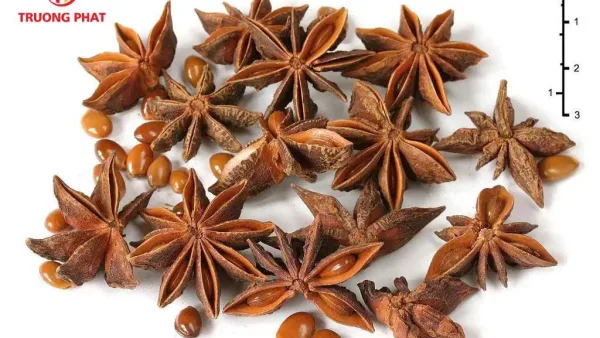 Hoa hồi 500g, đại hồi khô, thơm, gia vị tẩm ướp tự nhiên