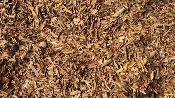 Alternative view of Quế vụn